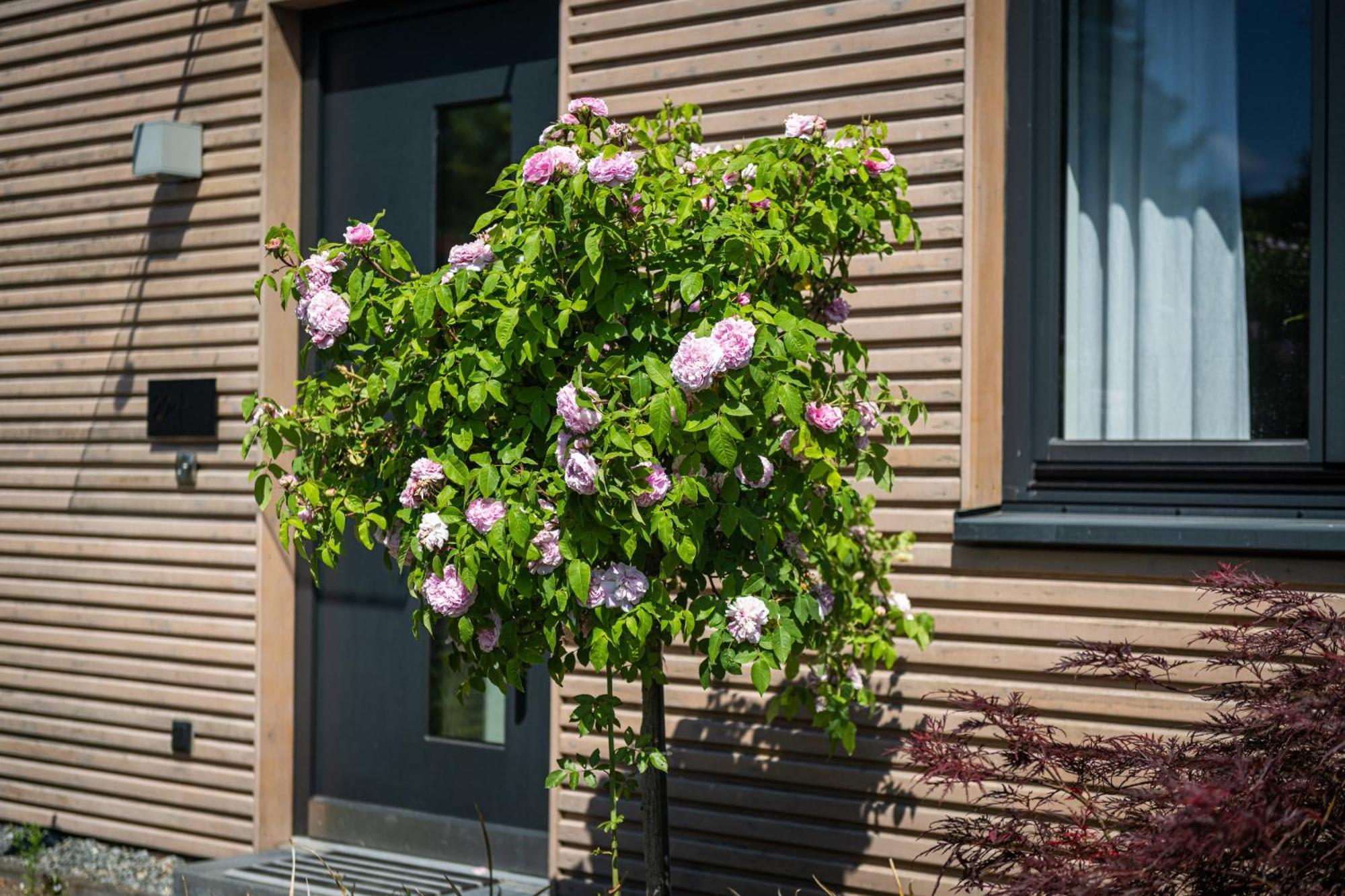 Deine Genuss-Auszeit Villa Asendorf Eksteriør billede